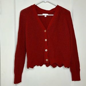 Lauren Conrad Burnt Orange Knit Cardigan Sweater
